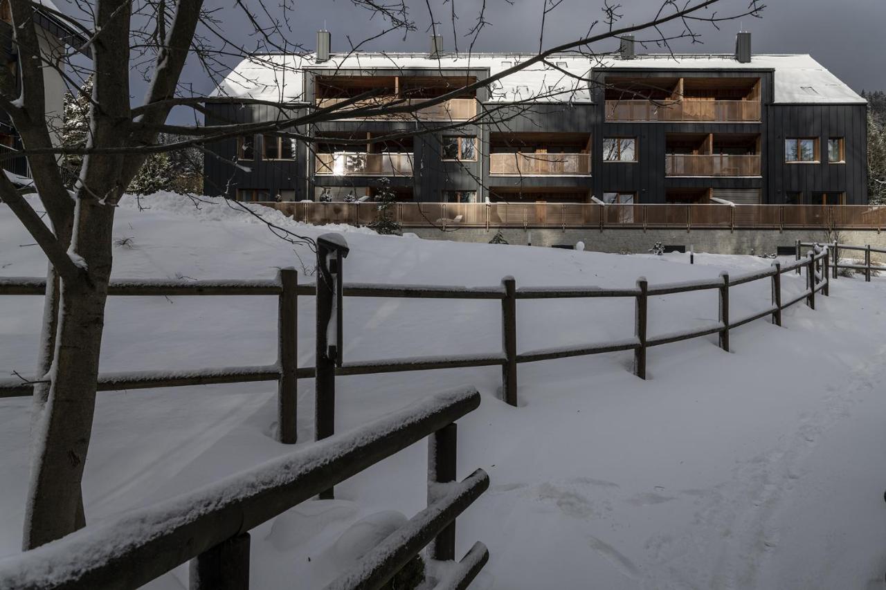 APARTMÁNY PADESÁTKA - Polední Kameny Bedřichov Exterior foto